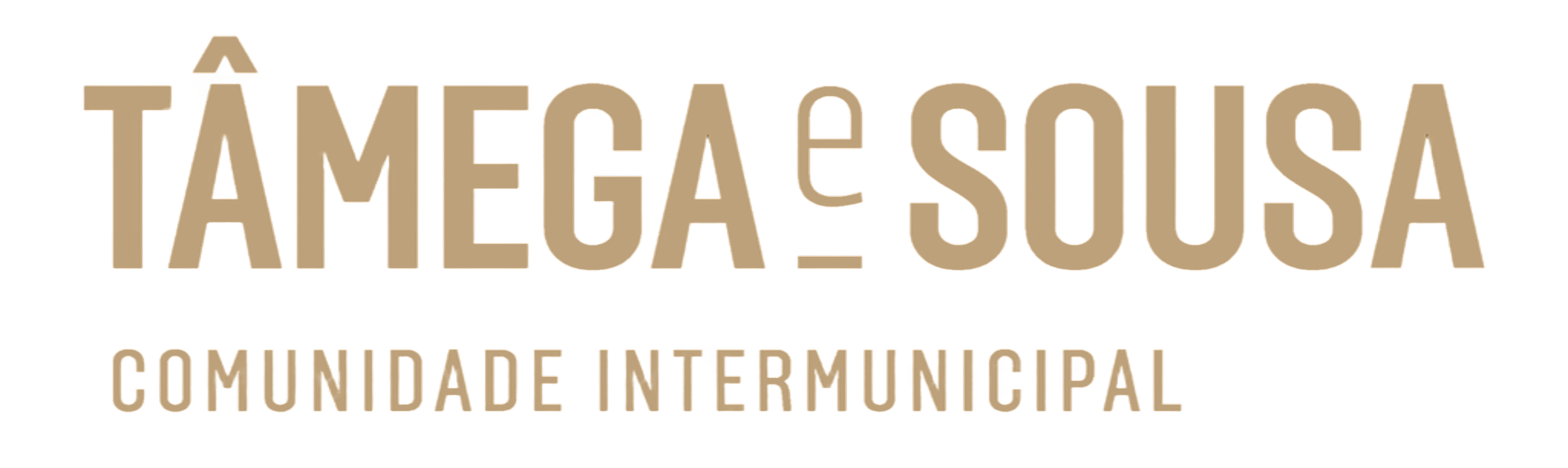 CIM do Tâmega e Sousa